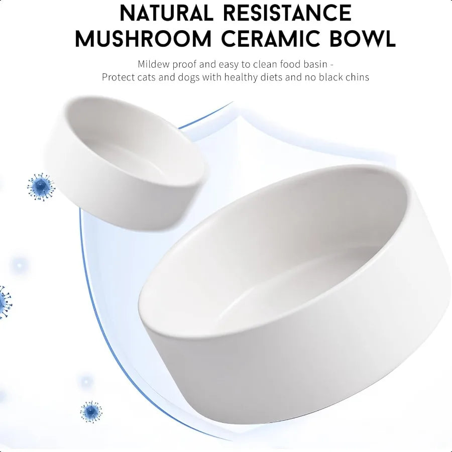 White Ceramic Dog Cat Bowl Set 13.5 OZ with Wooden Stand NonSlip Elevated Design for Small Dogs Cats 2 Bowls Food Water Ceramic