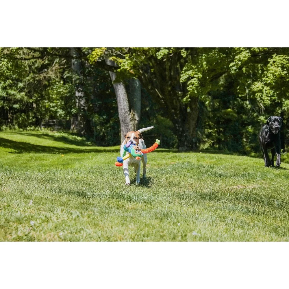 Colorful Plush Monkey Dog Toy with Six Squeakers Soft Chewable Indoor Outdoor Fun Engaging Long Limbs 18 Inch