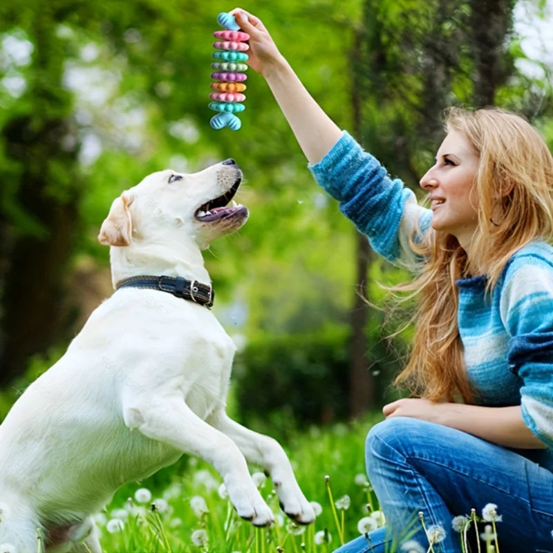 2pcs New pet toy dog toy wholesale colorful succulent pattern gnawing and grinding teeth resistant cat toy set