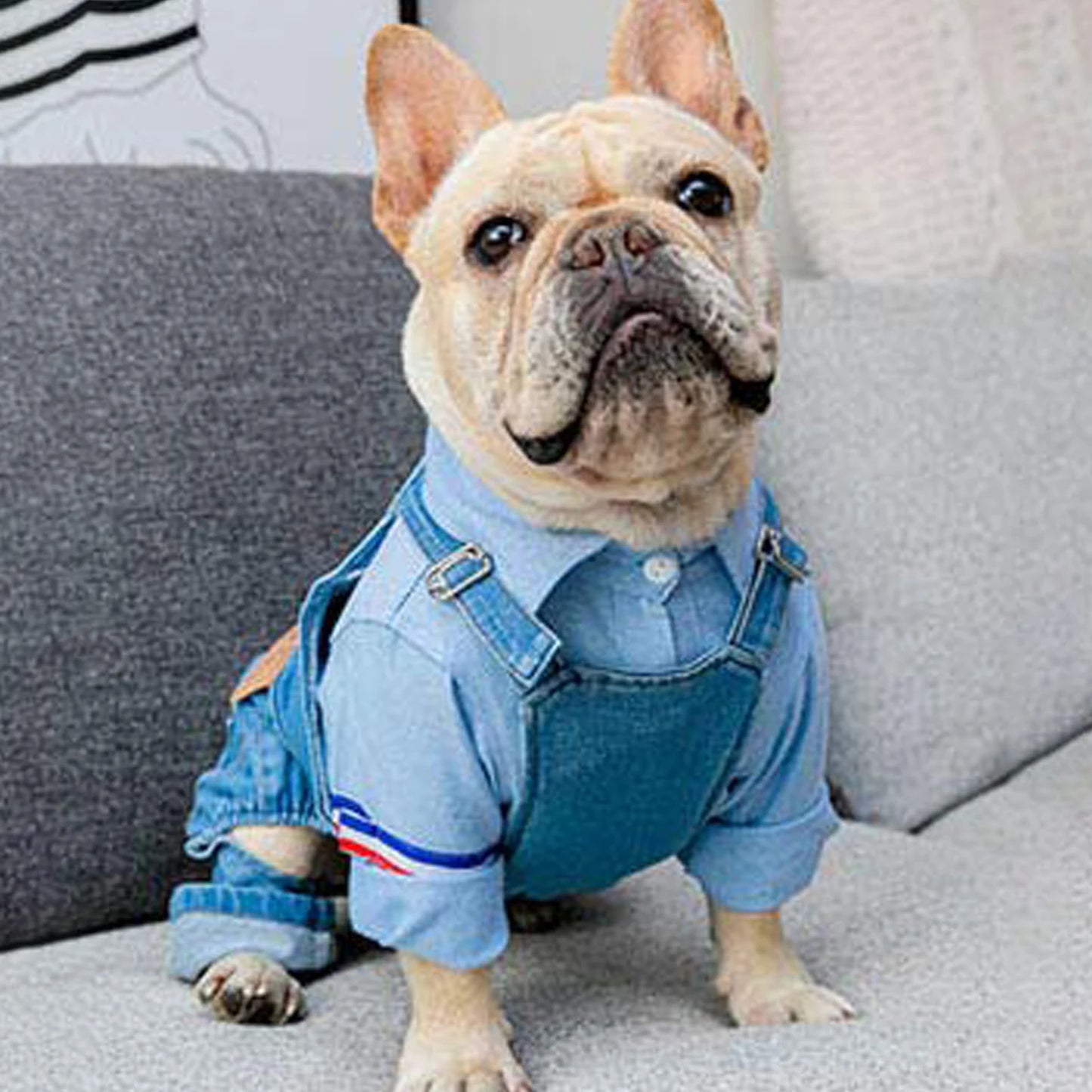 Dog Denim Jumpsuit Fashion Puppy Costumes Comfortable Dog Outfits Pure Cotton Pet Pants Apparel for Small Medium Dogs and Cats