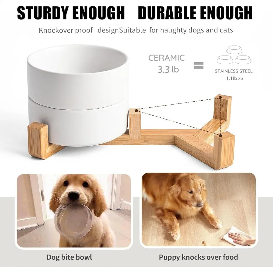 White Ceramic Dog Cat Bowl Set 13.5 OZ with Wooden Stand NonSlip Elevated Design for Small Dogs Cats 2 Bowls Food Water Ceramic