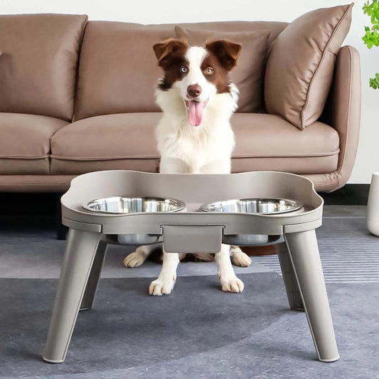 Stainless Steel Elevated Pet Bowl for Dogs and Cats Anti-Slip Raised Food Dish with Non-Skid Base High Sided Pet Feeder