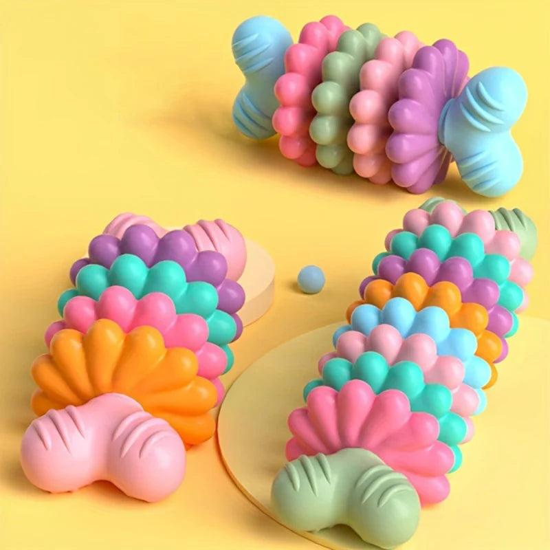 2pcs New pet toy dog toy wholesale colorful succulent pattern gnawing and grinding teeth resistant cat toy set