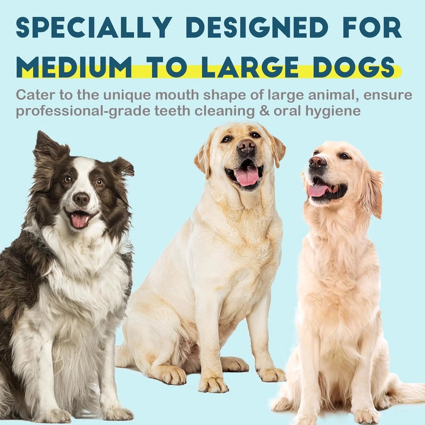 Dog Toothbrush Set 4 Pieces, 10,000 Ultra-Soft Bristles, Suitable for Medium to Large Dogs and Cats, Pet Toothbrush Kit for Easy