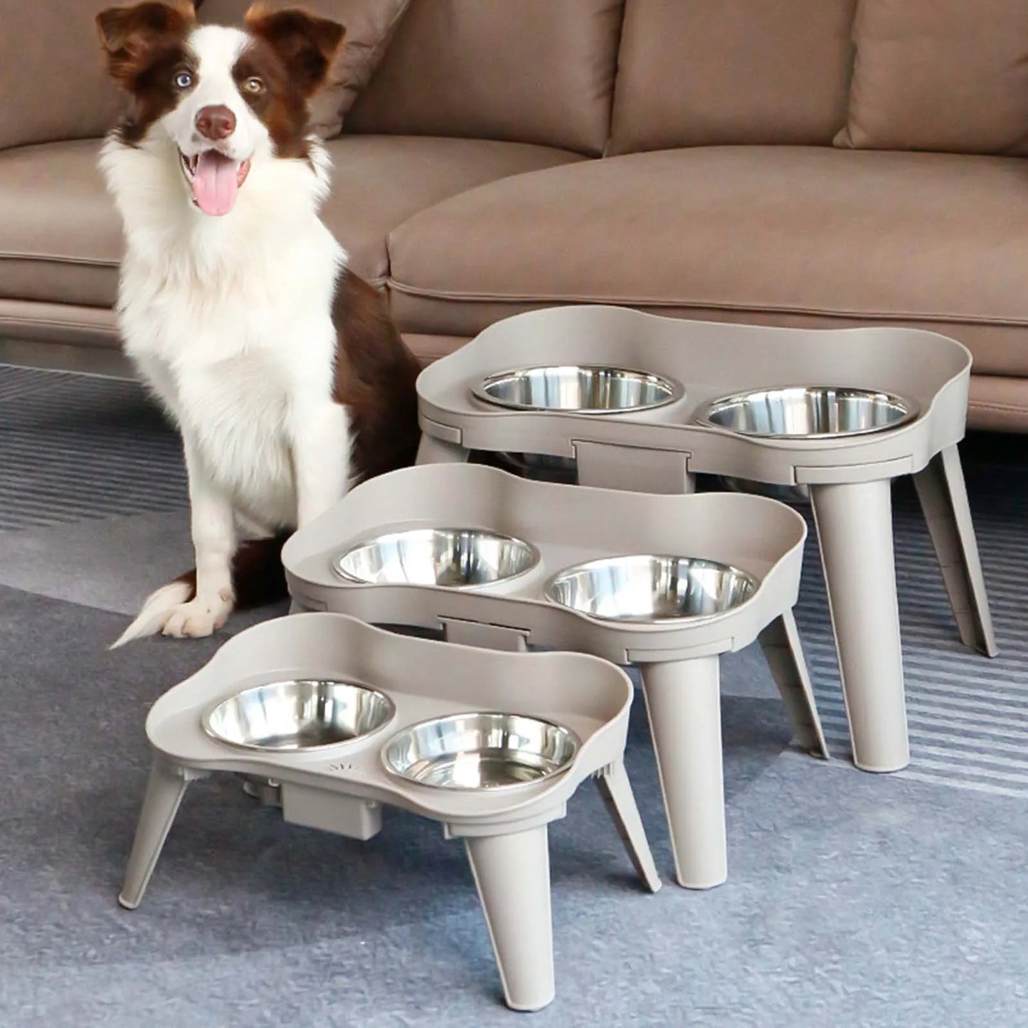 Stainless Steel Elevated Pet Bowl for Dogs and Cats Anti-Slip Raised Food Dish with Non-Skid Base High Sided Pet Feeder