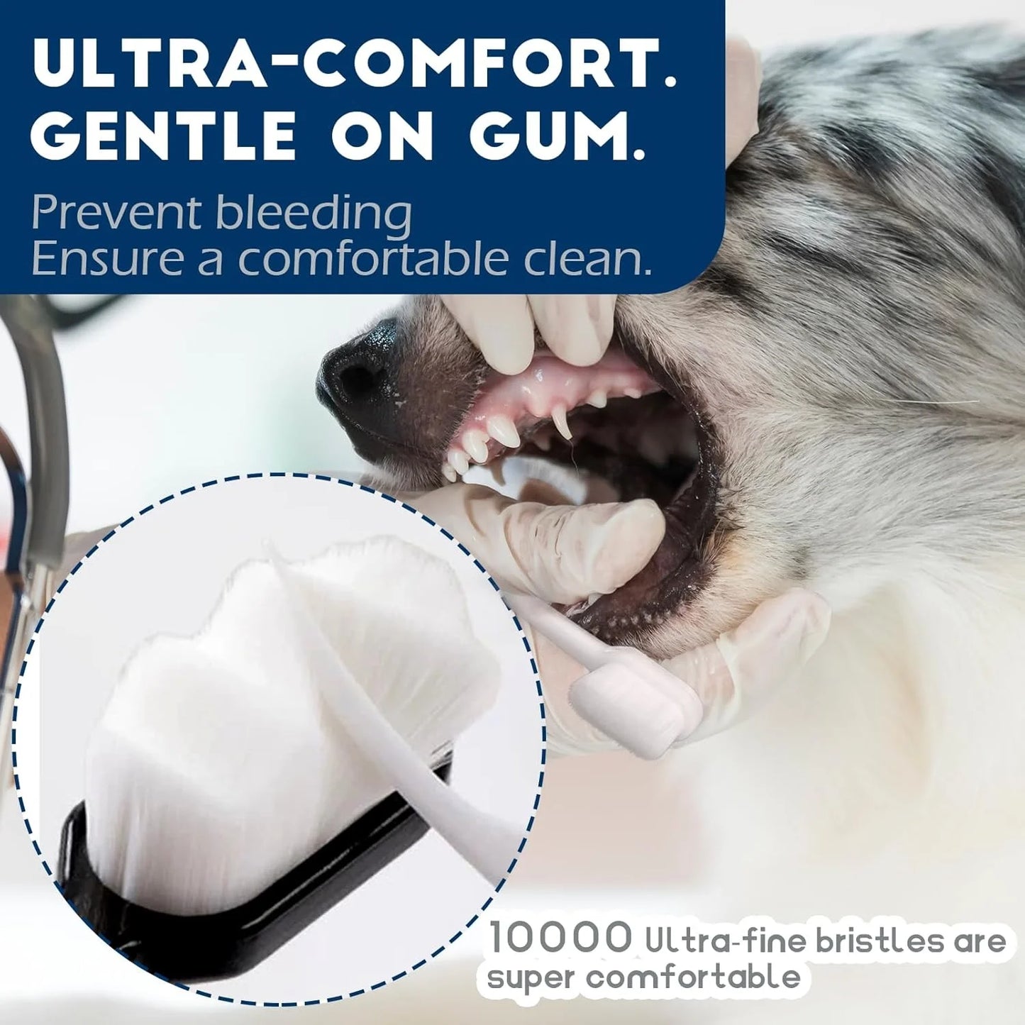 Dog Toothbrush Set 4 Pieces, 10,000 Ultra-Soft Bristles, Suitable for Medium to Large Dogs and Cats, Pet Toothbrush Kit for Easy